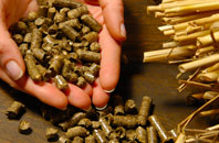 free Shutta biomass boiler quotes